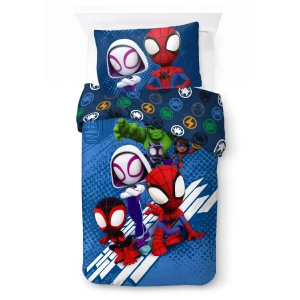 Spidey Amazing Friends